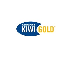 logo-kiwi-gold